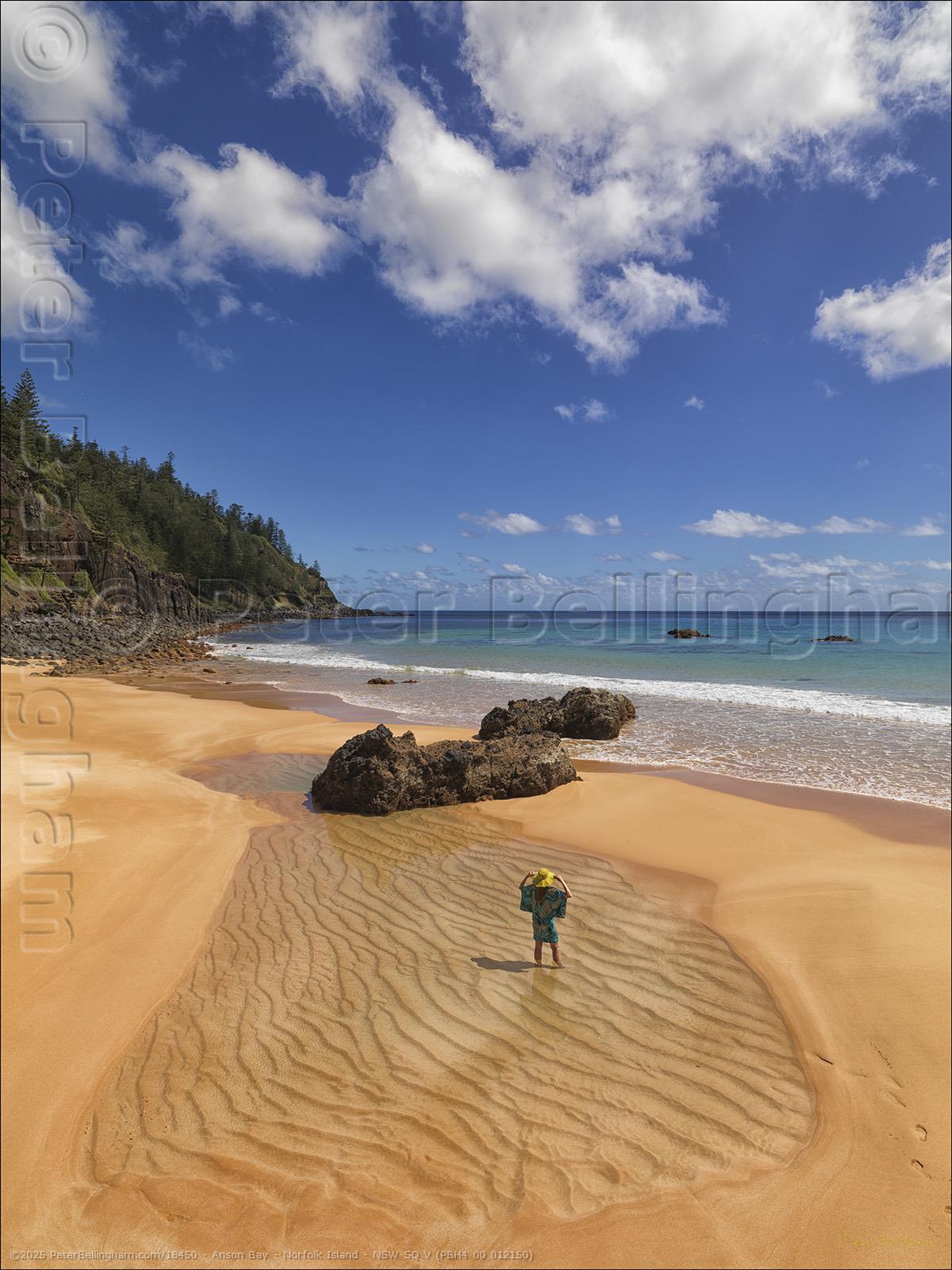 Peter Bellingham Photography Anson Bay - Norfolk Island - NSW SQ V (PBH4 00 012150)